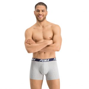 Puma-boxer-grey-front-view