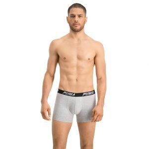 Puma-boxer-grey-front-view-model