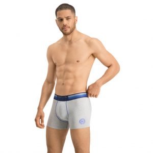 Puma-boxer-Grey-side-view